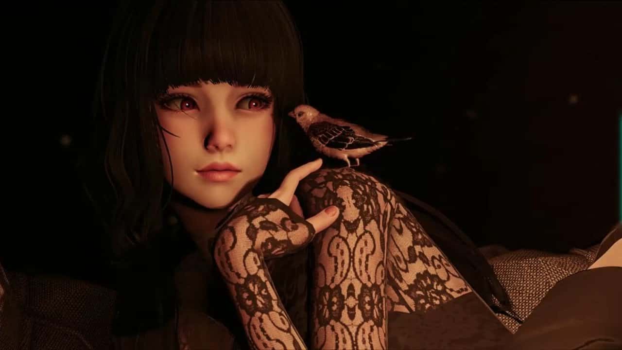 视觉数据2