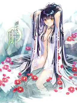 无颜之月-待宵双椿 PC游戏 专题图
